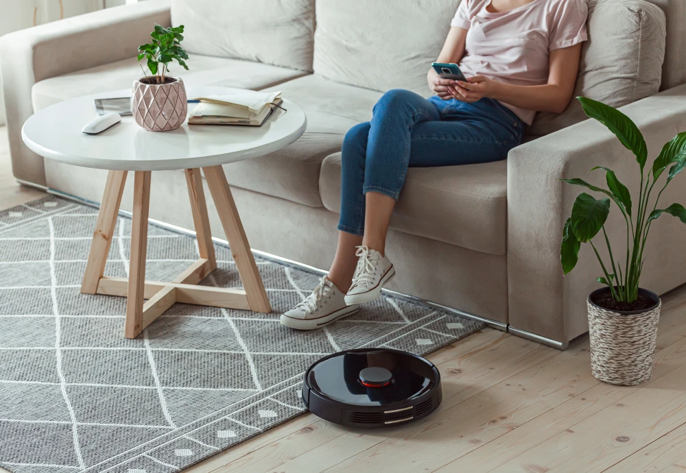 robot vacuum cleaner for carpet